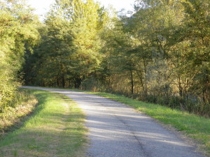 Valtellina Trail Section