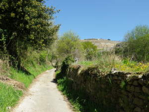 Cement Trail Section 