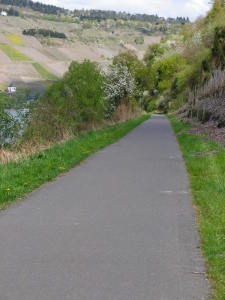 Dedicated Path along the River