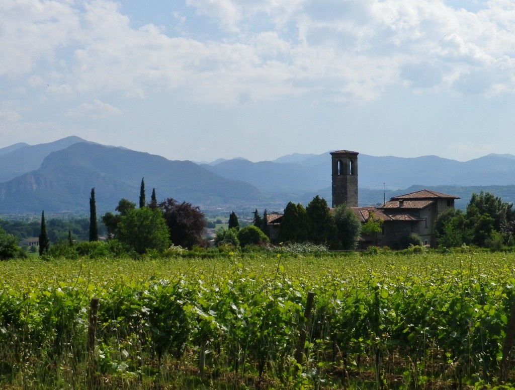 Franciacorta Countryside