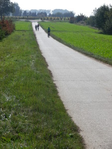 Trail through Fields