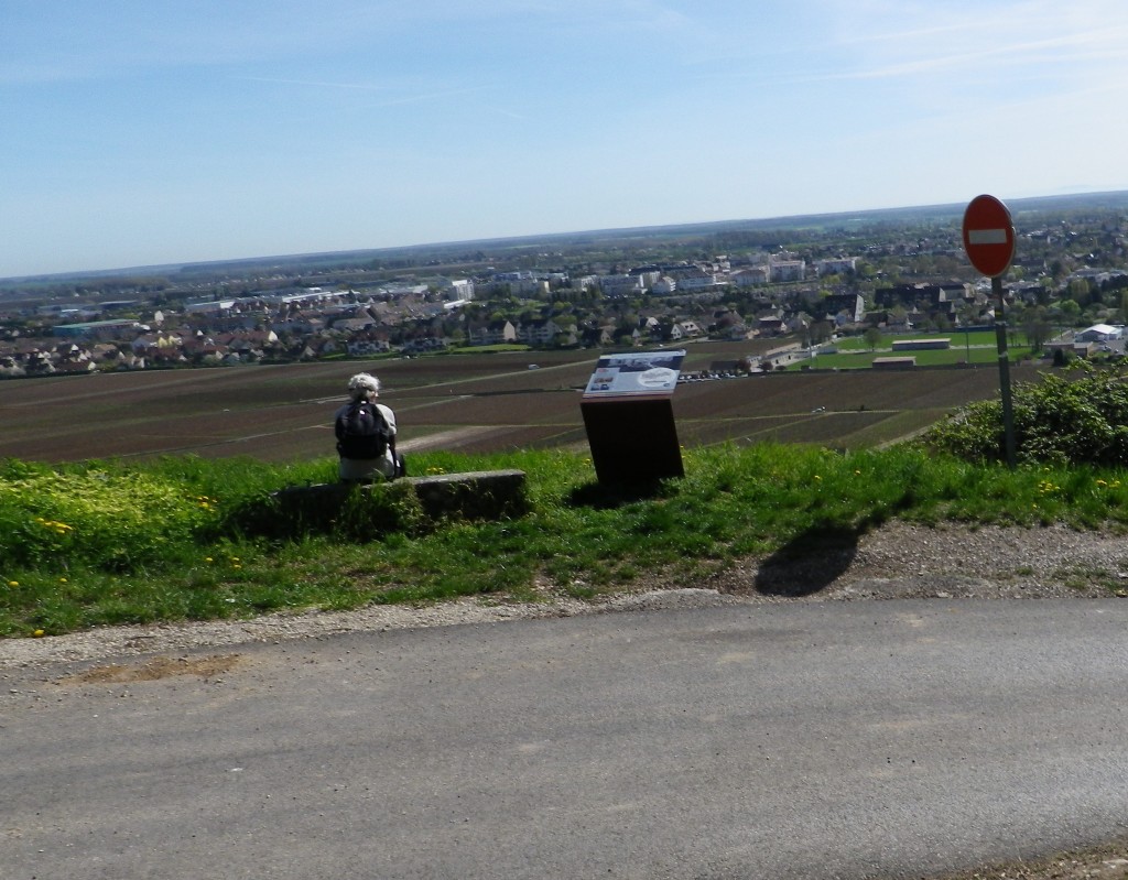 View of Beaune