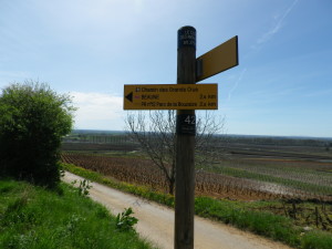 Trail Through Beaune's Vineyards