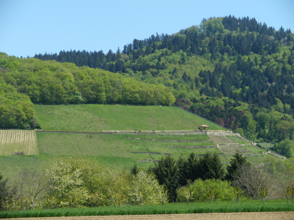 Typical Scenery along the Trail