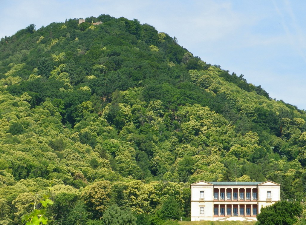 Villa Ludwigshoehe and Rietburg Castle