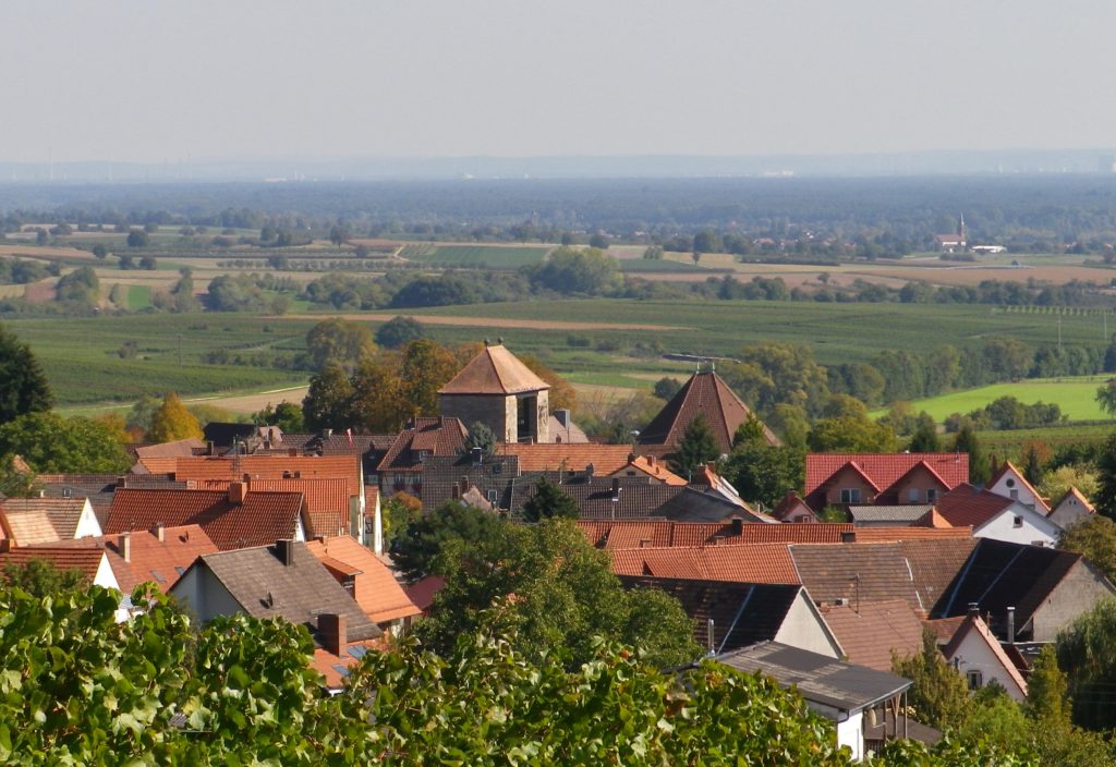 Schweigen From the Vineyards