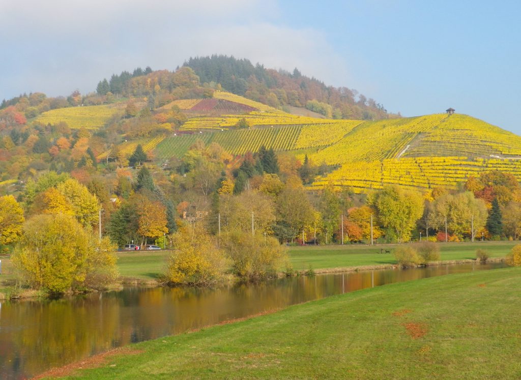 Gengenbach Vineyards