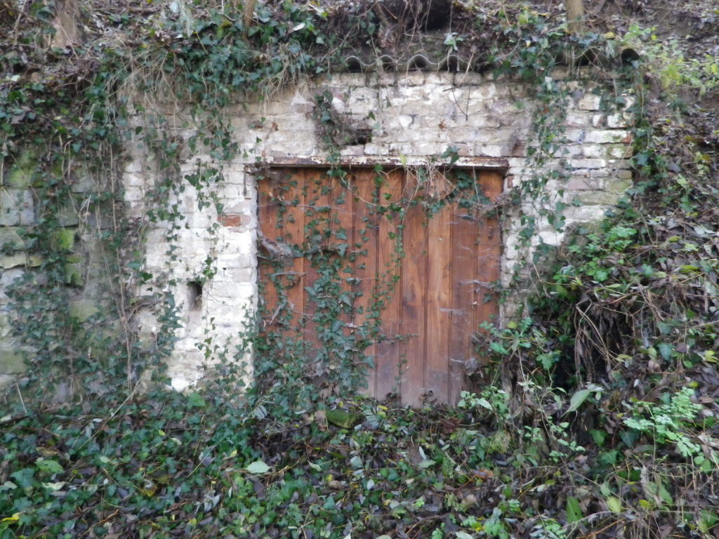 Abandoned Cellar