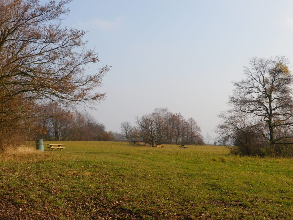 Falkenberg Picnic Area