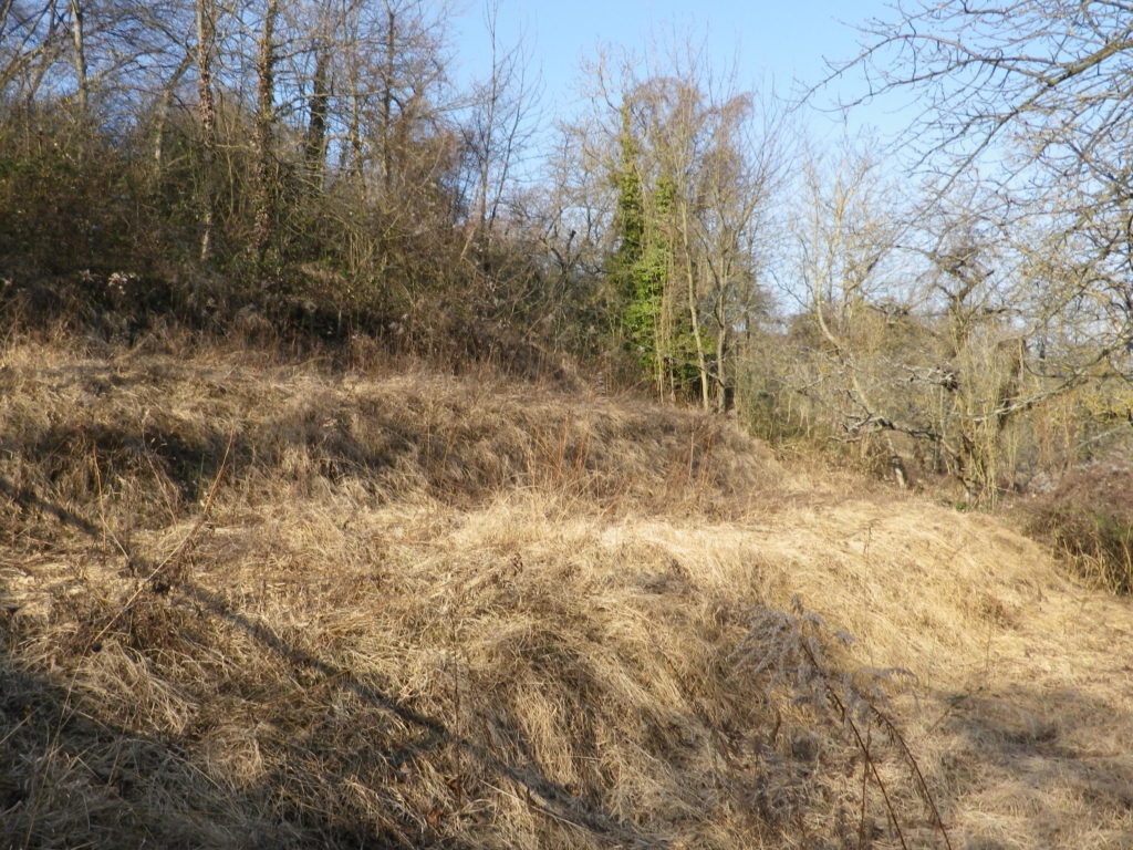 Old Terraces