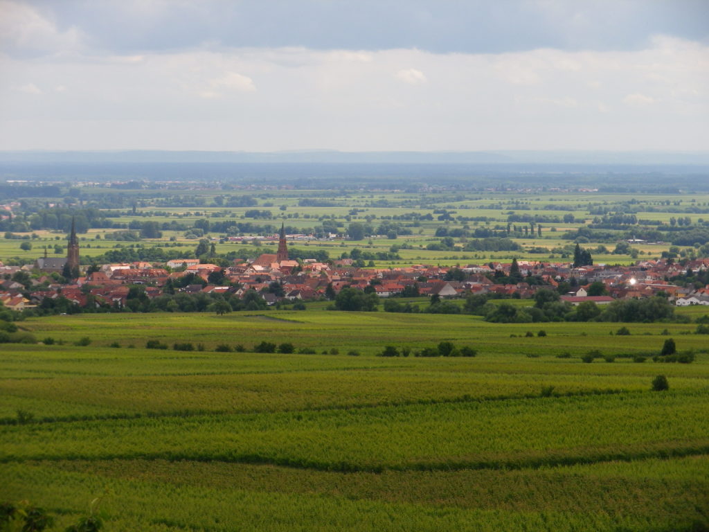 Edenkoben and Fassboden 6 Land