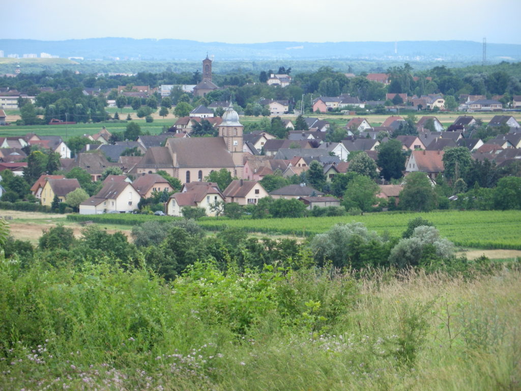 Bergholtz