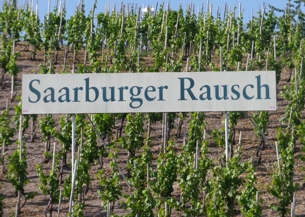 Wine Notes: Saar (Mosel) | Winecountrywandering