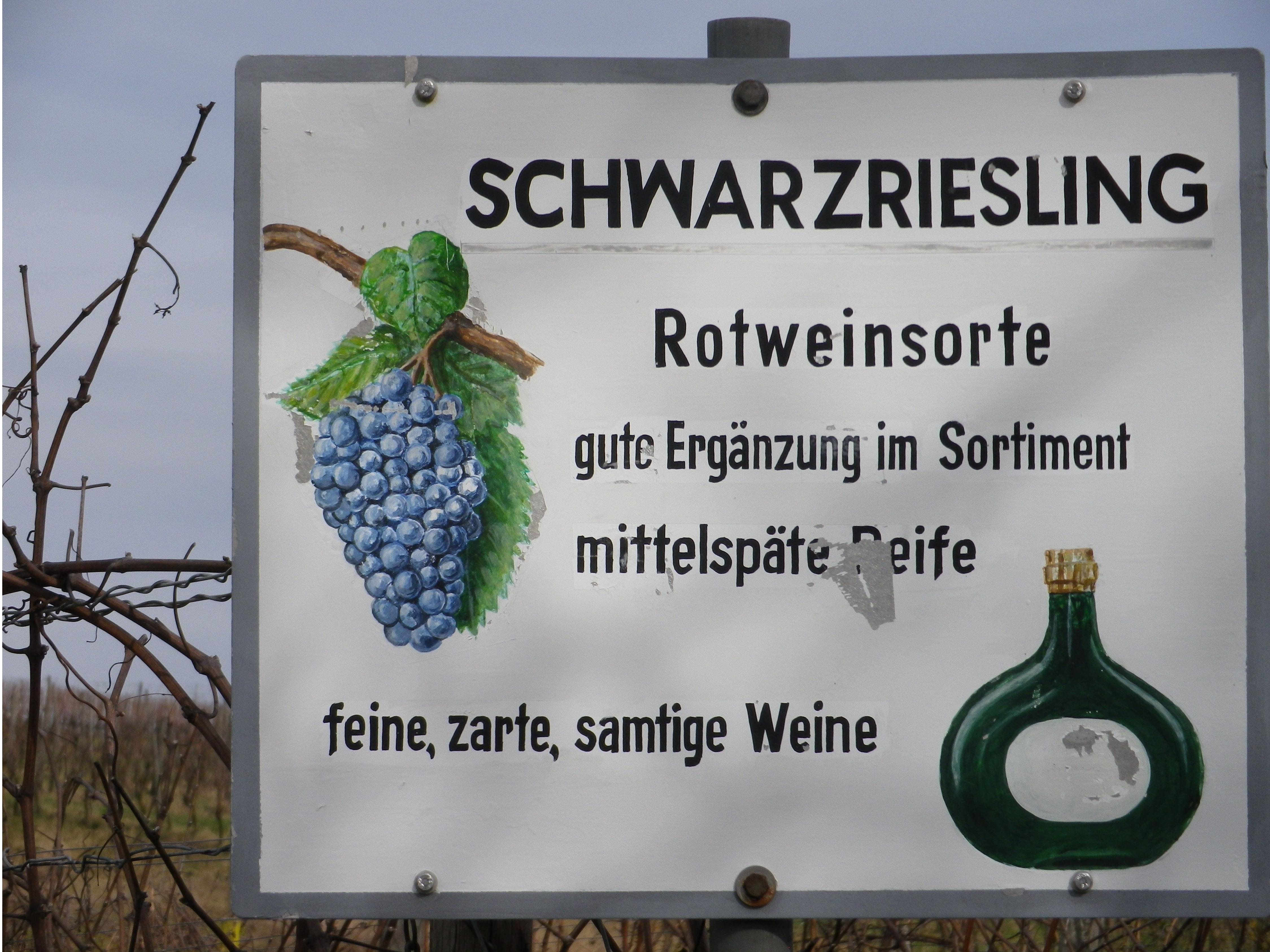 Wine Notes: Franconia's Maindreieck | winecountrywandering